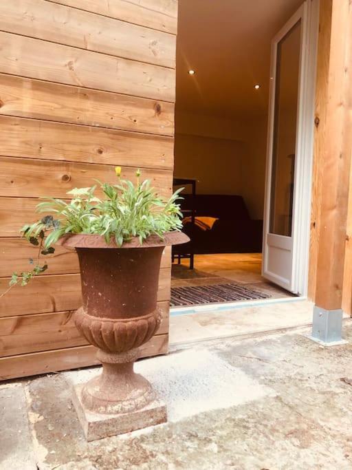 Bienvenue « A L'Ombre Du Figuier » Apartment Pieusse Ngoại thất bức ảnh